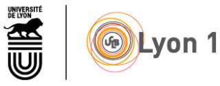 Logo Université Lyon 1